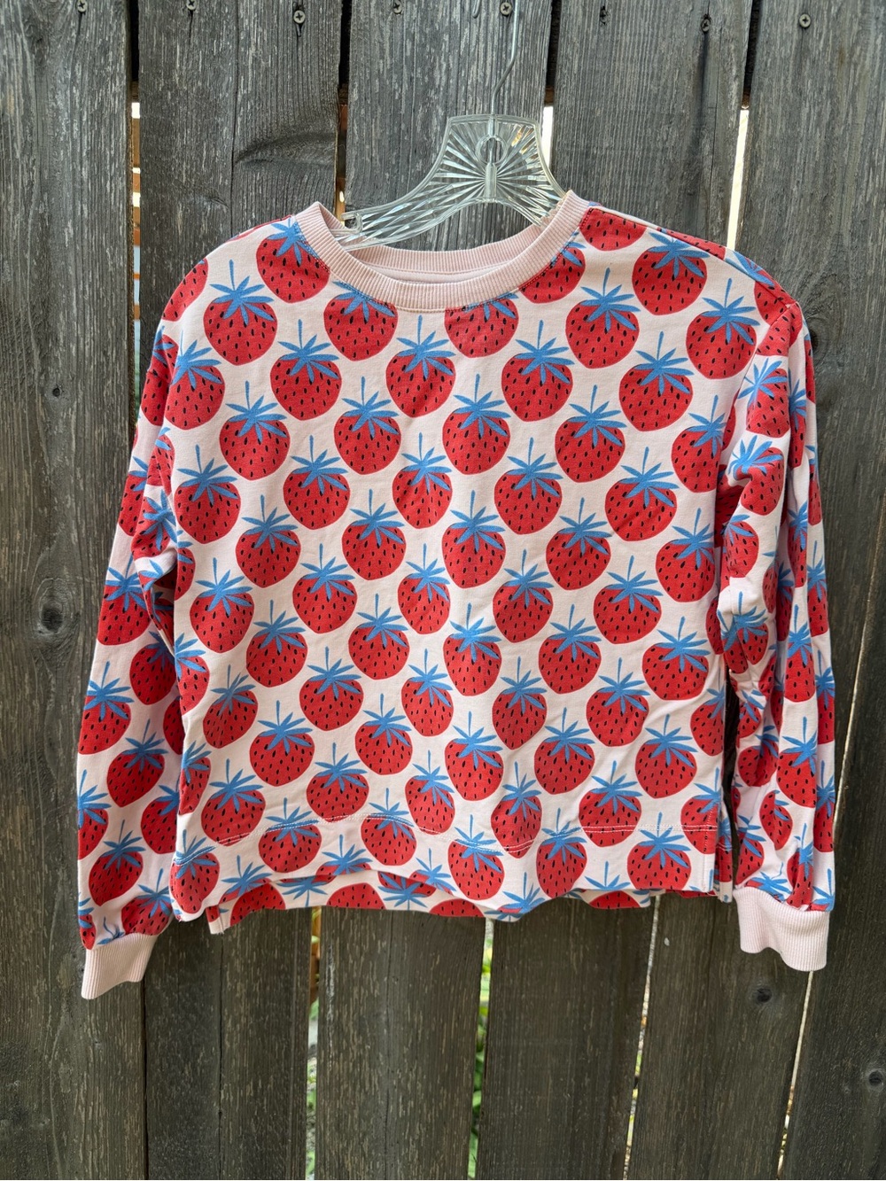 Size 12 Hanna Andersson Pink Sweatshirt with Red & Blue Strawberry Print